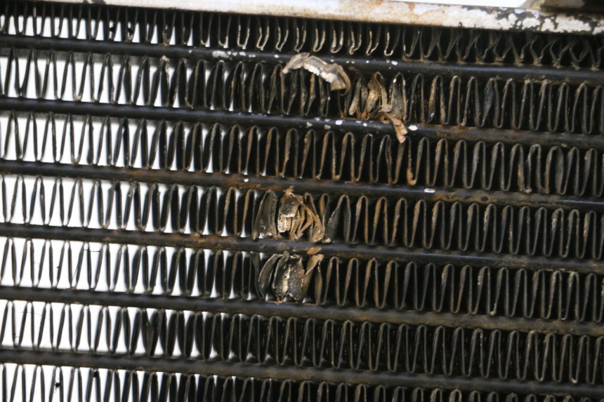photo de COOLANT RADIATOR MBK NITRO 50 (2004 - 2008) - Component detail