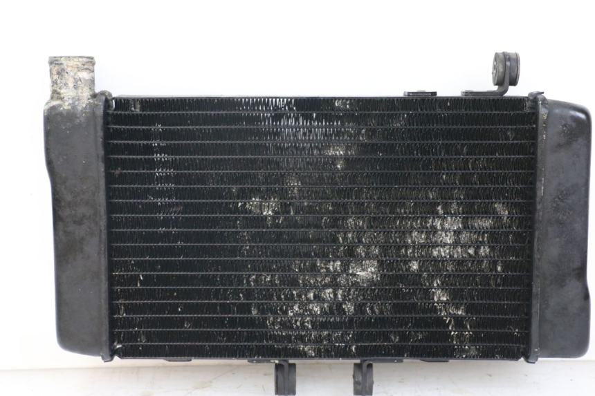 photo de RADIATOR HONDA NTV DEAUVILLE 650 (1998 - 2001) - Main view