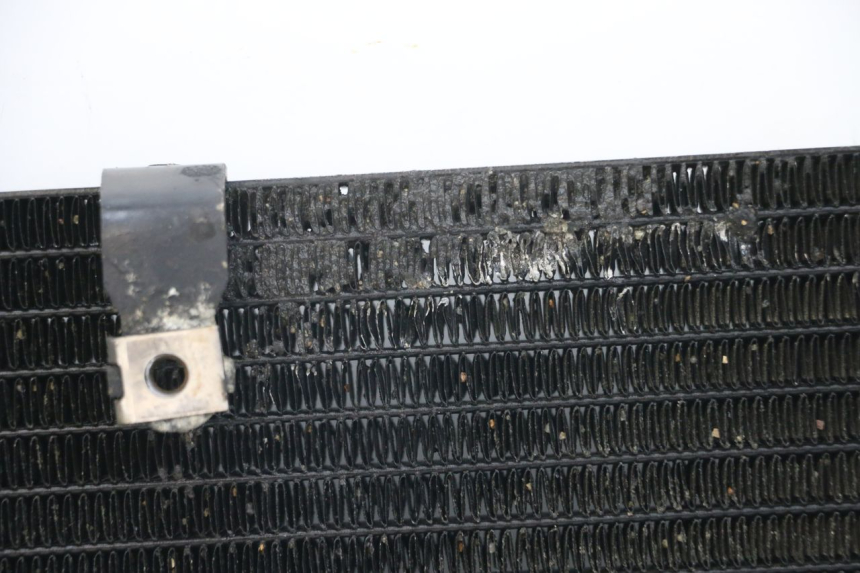 photo de RADIATOR HONDA NTV DEAUVILLE 650 (1998 - 2001) - Component zoom