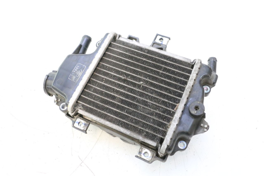 photo de RADIATOR HONDA PCX (JF28) 125 (2009 - 2011) - Main view