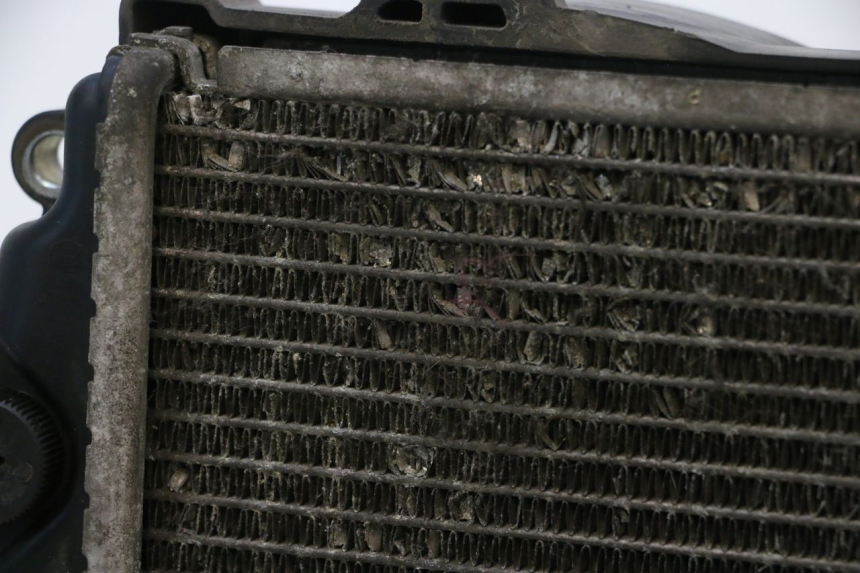photo de COOLANT RADIATOR HONDA PCX (JF57/JF64) 125 (2014 - 2018) - Distinctive features