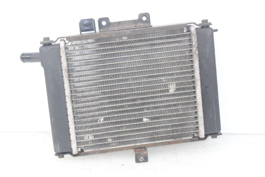 photo de COOLANT RADIATOR KYMCO PEOPLE 250 (2004 - 2008) - Main view