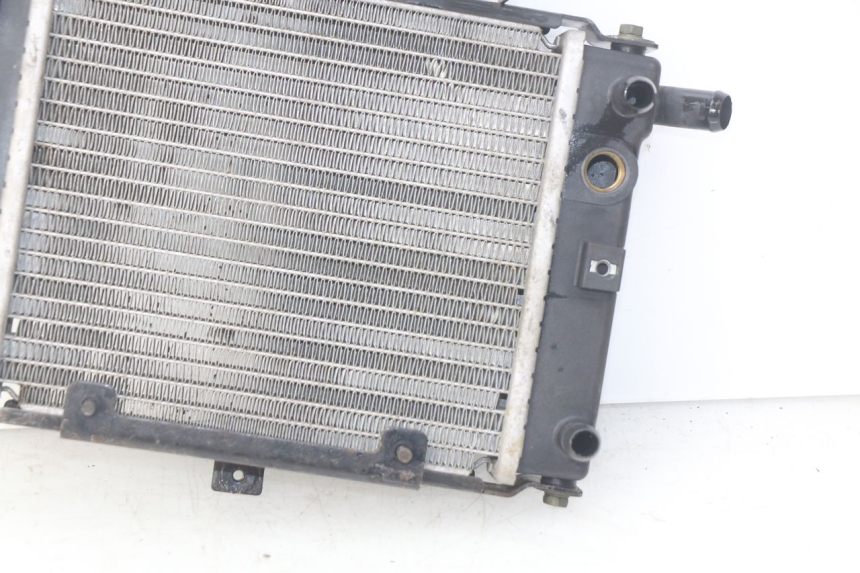 photo de COOLANT RADIATOR KYMCO PEOPLE 250 (2004 - 2008) - Surface and material condition