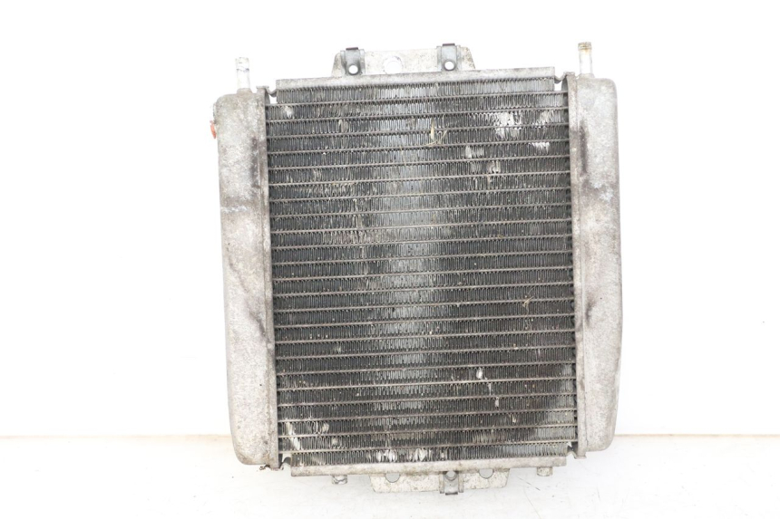 photo de COOLANT RADIATOR PIAGGIO MP3 125 (2006 - 2014) - Main view