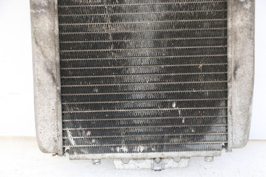 photo de COOLANT RADIATOR PIAGGIO MP3 125 (2006 - 2014) - Surface and material condition
