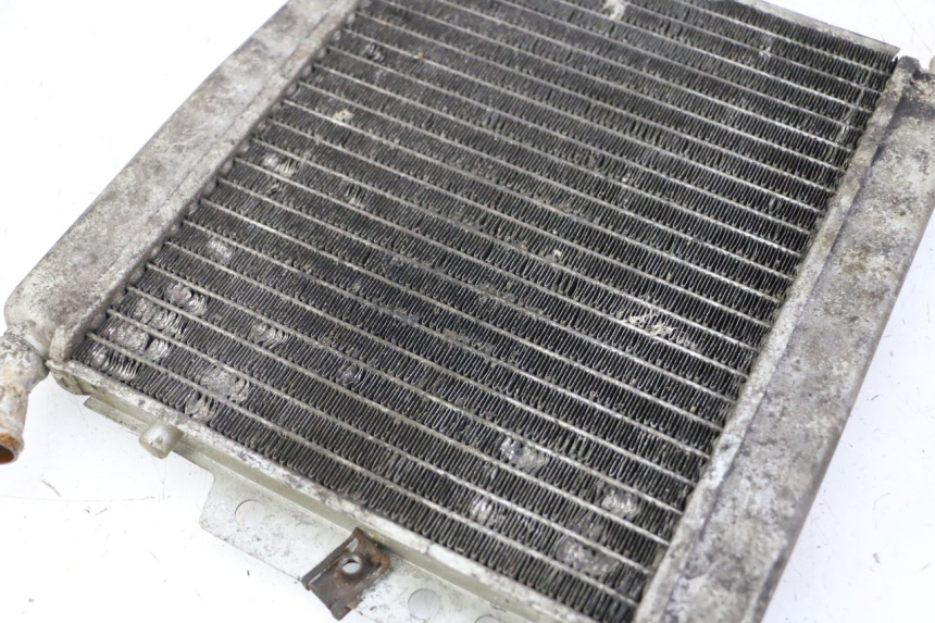 photo de COOLANT RADIATOR PIAGGIO X8 125 (2004 - 2007) - Component detail