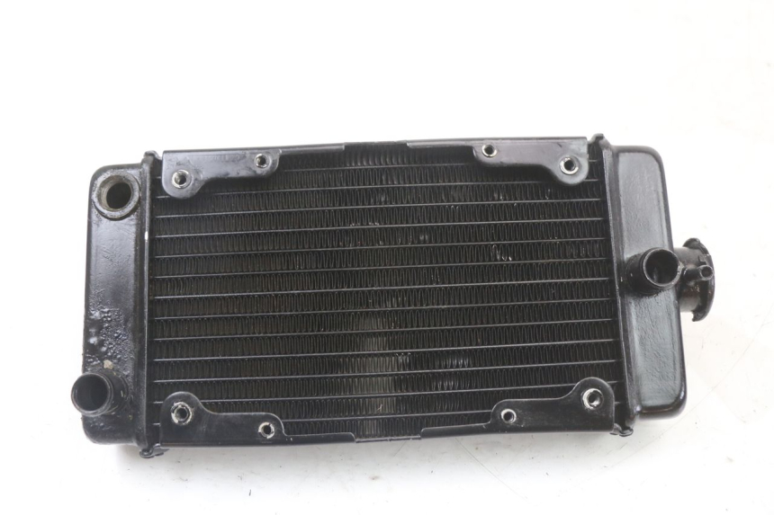 photo de COOLANT RADIATOR REGAL RAPTOR SPYDER 125 (2010 - 2018) - Main view