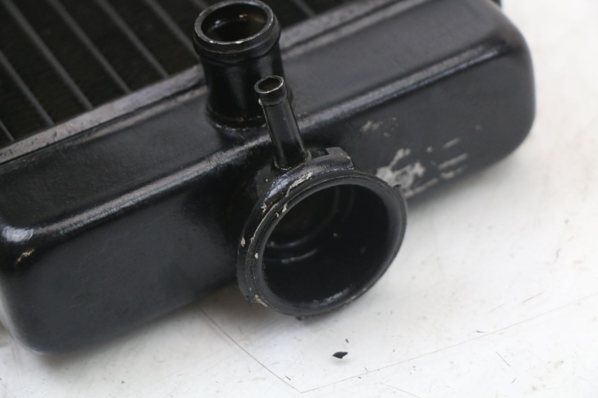 photo de COOLANT RADIATOR REGAL RAPTOR SPYDER 125 (2010 - 2018) - Product overview