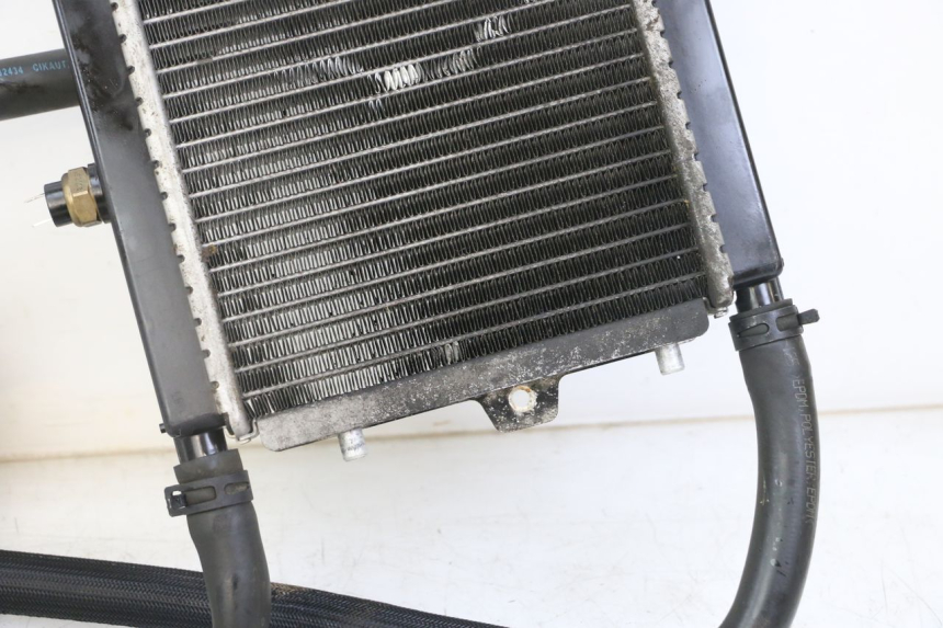 photo de RADIATOR PEUGEOT SATELIS 125 (2010 - 2012) - Alternative perspective