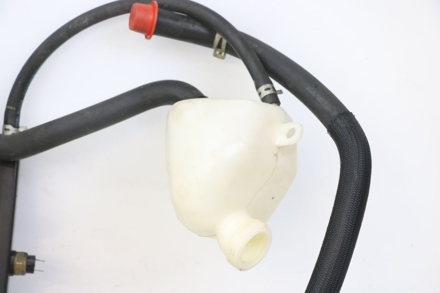 photo de RADIATOR PEUGEOT SATELIS 125 (2010 - 2012) - Surface and material condition