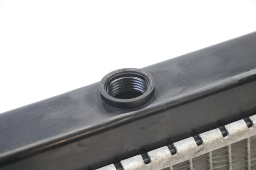 photo de COOLANT RADIATOR PEUGEOT SATELIS 125 (2013 - 2018) - Surface and material condition