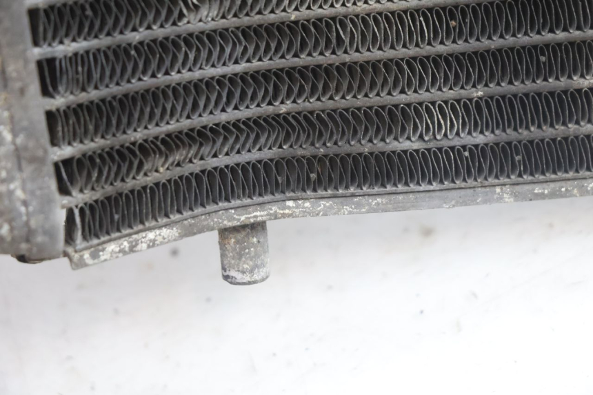 photo de COOLANT RADIATOR APRILIA SCARABEO GT 125 (1999 - 2007) - Alternative perspective