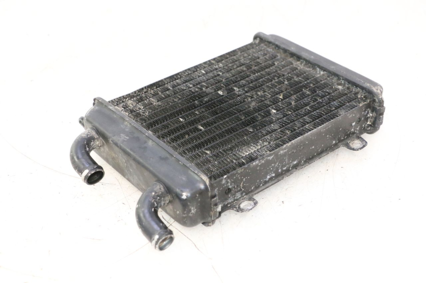 photo de RADIATOR PEUGEOT SPEEDFIGHT LC 50 (1996 - 2002) - Zoom on usage condition
