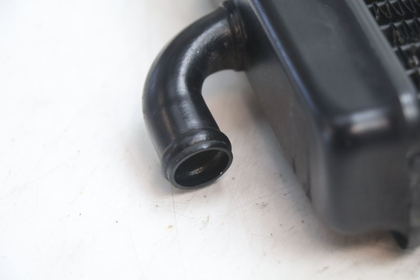 photo de RADIATOR PEUGEOT SPEEDFIGHT LC 50 (1996 - 2002) - Technical close-up