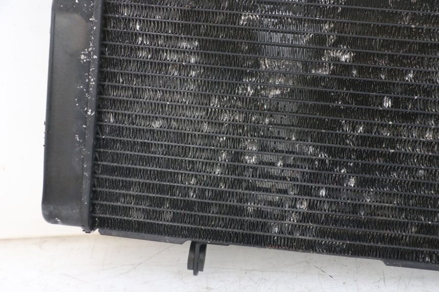 photo de RADIATOR SUZUKI SV N 650 (1999 - 2002) - Component zoom