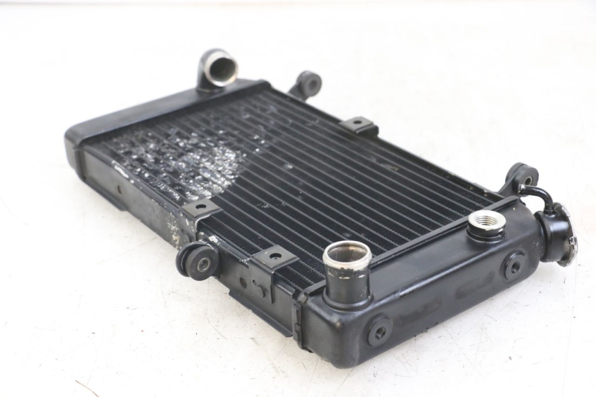 photo de RADIATOR SUZUKI SV N 650 (1999 - 2002) - Product overview