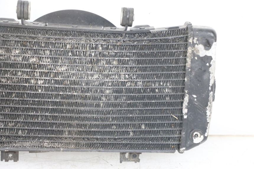 photo de RADIATOR YAMAHA TDM ABS 900 (2002 - 2014) - Distinctive features