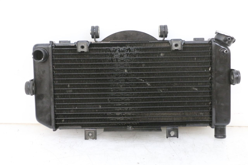 photo de RADIATOR YAMAHA TDM ABS 900 (2002 - 2014) - Distinctive features