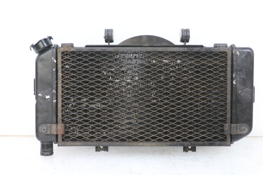 photo de COOLANT RADIATOR YAMAHA TDM ABS 900 (2002 - 2014) - Main view