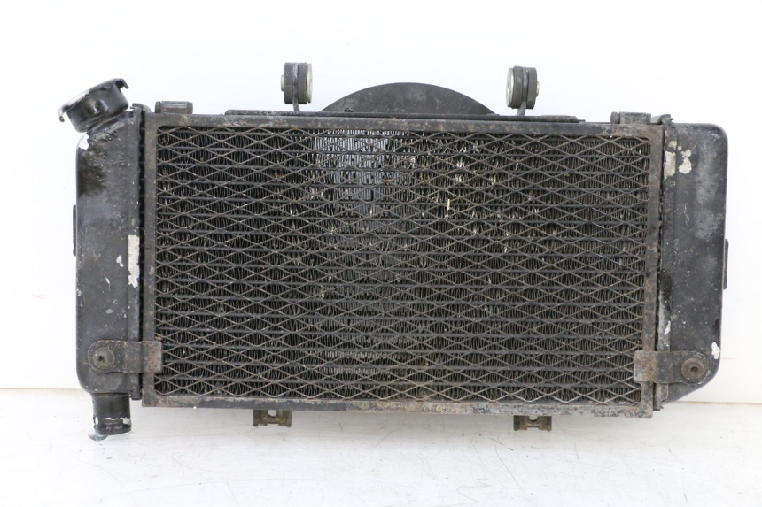 photo de COOLANT RADIATOR YAMAHA TDM ABS 900 (2002 - 2014) - Main view