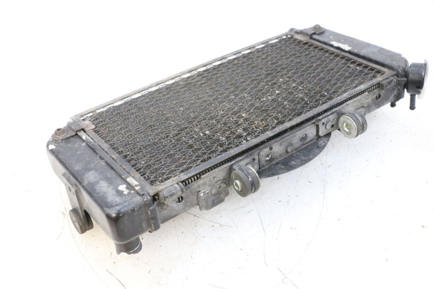 photo de COOLANT RADIATOR YAMAHA TDM ABS 900 (2002 - 2014) - Alternative perspective