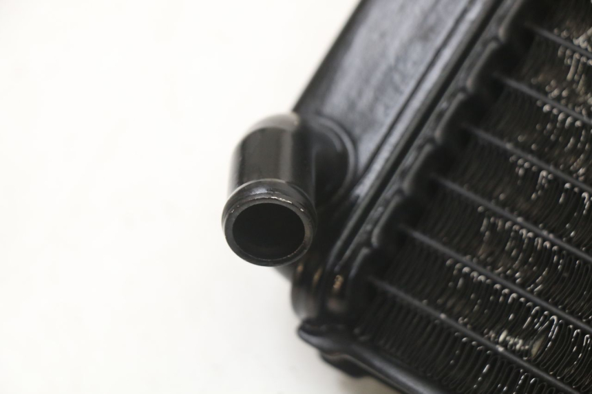 photo de RADIATOR YAMAHA TDR DELTABOX 125 (1997 - 2003) - Component detail