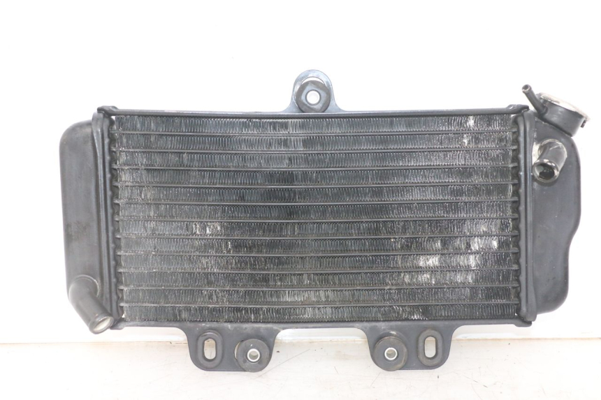 photo de RADIATOR YAMAHA TDR DELTABOX 125 (1997 - 2003) - Main view
