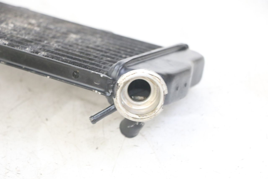 photo de RADIATOR YAMAHA TDR DELTABOX 125 (1997 - 2003) - Distinctive features