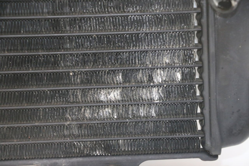 photo de RADIATOR YAMAHA TDR DELTABOX 125 (1997 - 2003) - High-resolution close-up