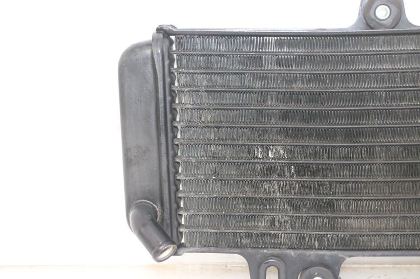 photo de RADIATOR YAMAHA TDR DELTABOX 125 (1997 - 2003) - Detailed visual inspection
