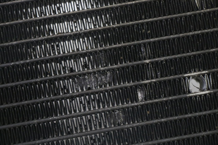 photo de RADIATOR YAMAHA X-MAX XMAX 125 (2010 - 2013) - Zoom on usage condition