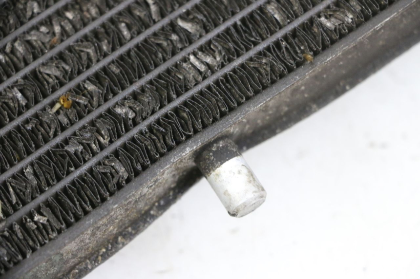 photo de RADIATOR YAMAHA X-MAX XMAX 125 (2010 - 2013) - Checked used part