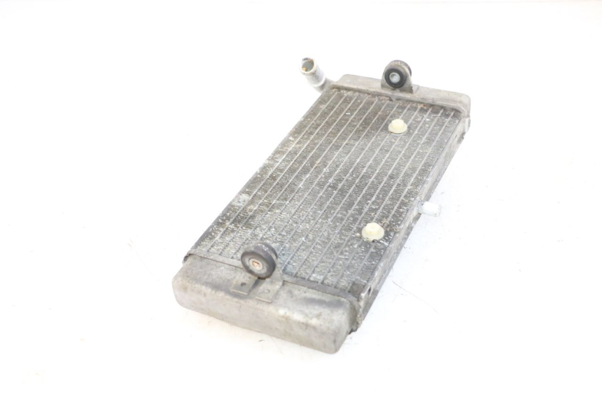 photo de RADIATOR YAMAHA X-MAX XMAX 125 (2010 - 2013) - Zoom on usage condition