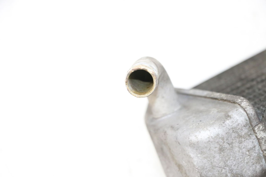 photo de RADIATOR YAMAHA XMAX X-MAX 125 (2006 - 2009) - Surface and material condition