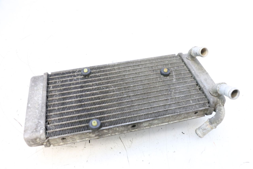 photo de RADIATOR YAMAHA X-MAX XMAX 125 (2010 - 2013) - Zoom on usage condition