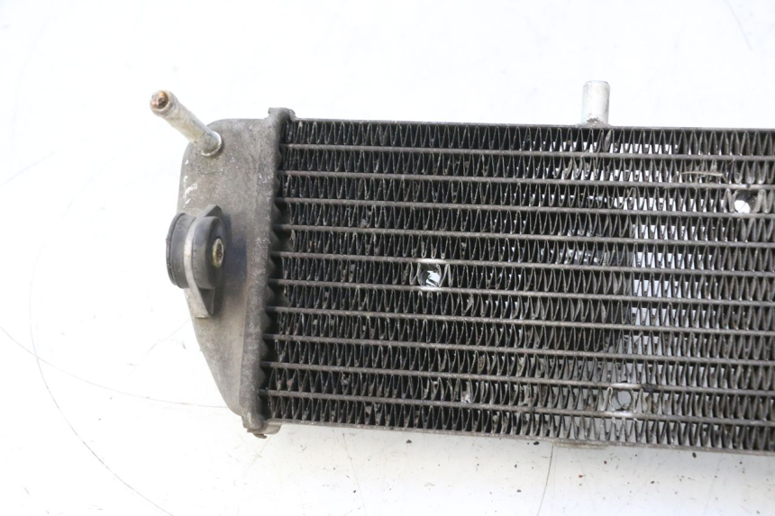 photo de RADIATOR YAMAHA XMAX X-MAX 125 (2006 - 2009) - Zoom on usage condition