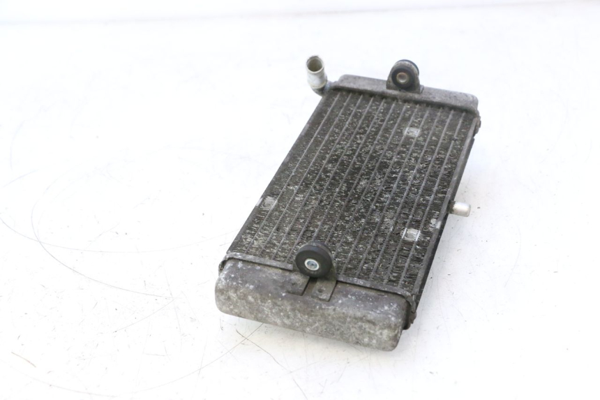 photo de RADIATOR YAMAHA X-MAX XMAX 125 (2010 - 2013) - Zoom on usage condition