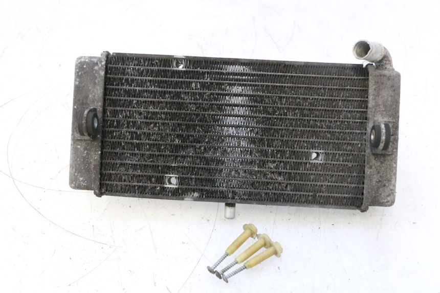 photo de RADIATOR YAMAHA X-MAX XMAX 125 (2010 - 2013) - Product overview