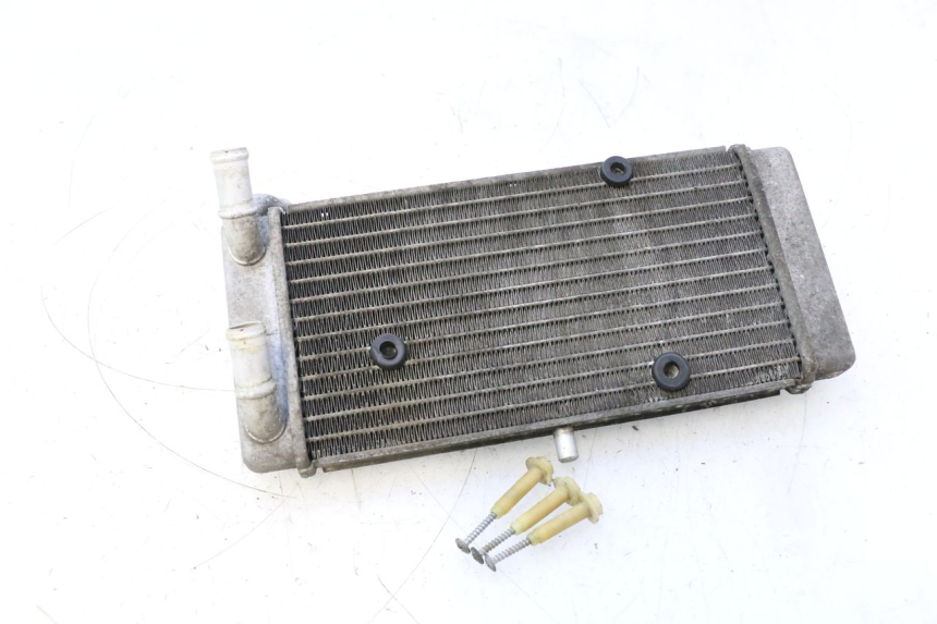 photo de RADIATOR YAMAHA X-MAX XMAX 125 (2010 - 2013) - Checked used part
