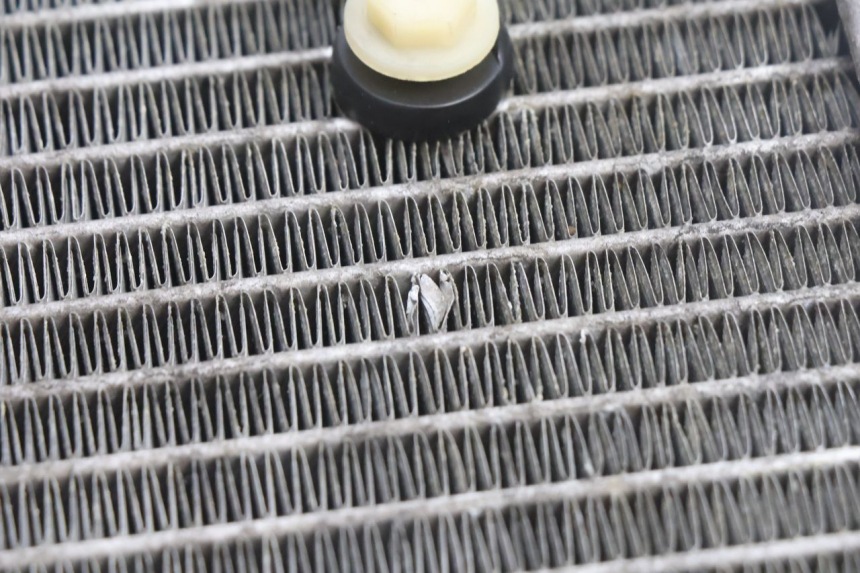 photo de RADIATOR YAMAHA X-MAX XMAX 125 (2010 - 2013) - Technical close-up