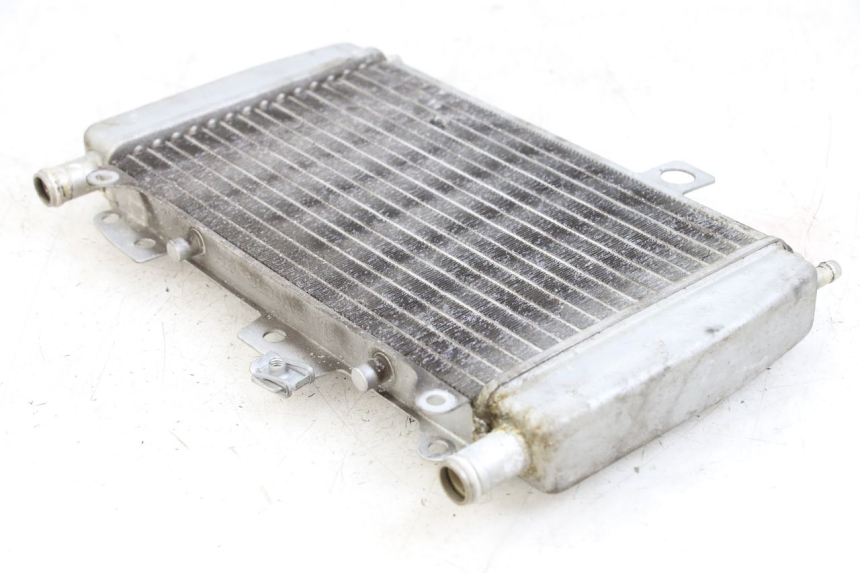 photo de RADIATOR PIAGGIO X10 125 (2012 - 2017) - Zoom on usage condition