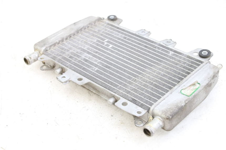 photo de RADIATOR PIAGGIO X10 125 (2012 - 2017) - Alternative perspective