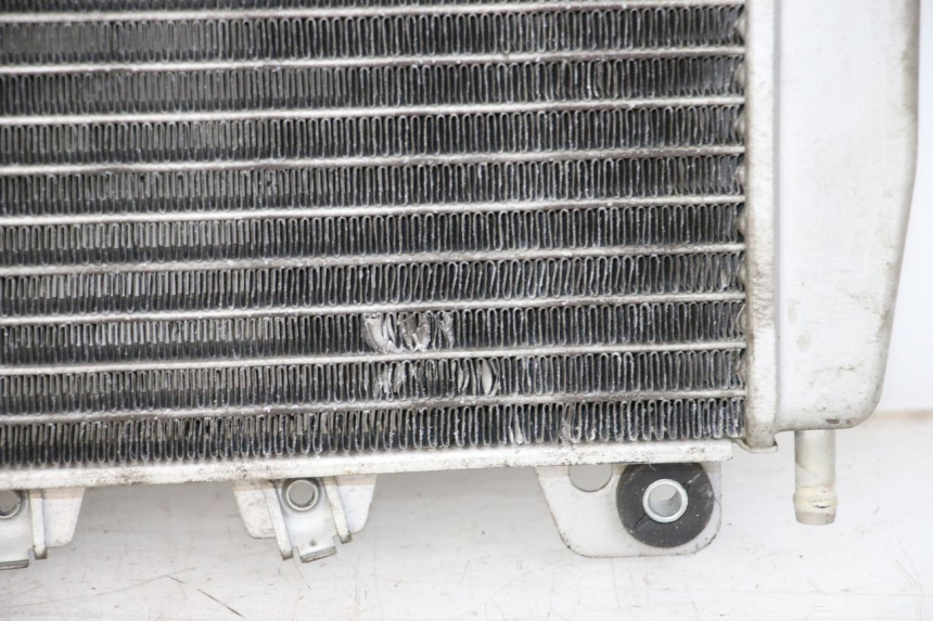 photo de RADIATOR PIAGGIO X10 125 (2012 - 2017) - Product overview