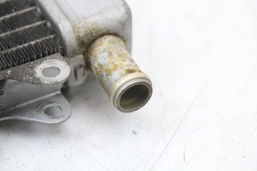 photo de RADIATOR PIAGGIO X10 125 (2012 - 2017) - Product overview