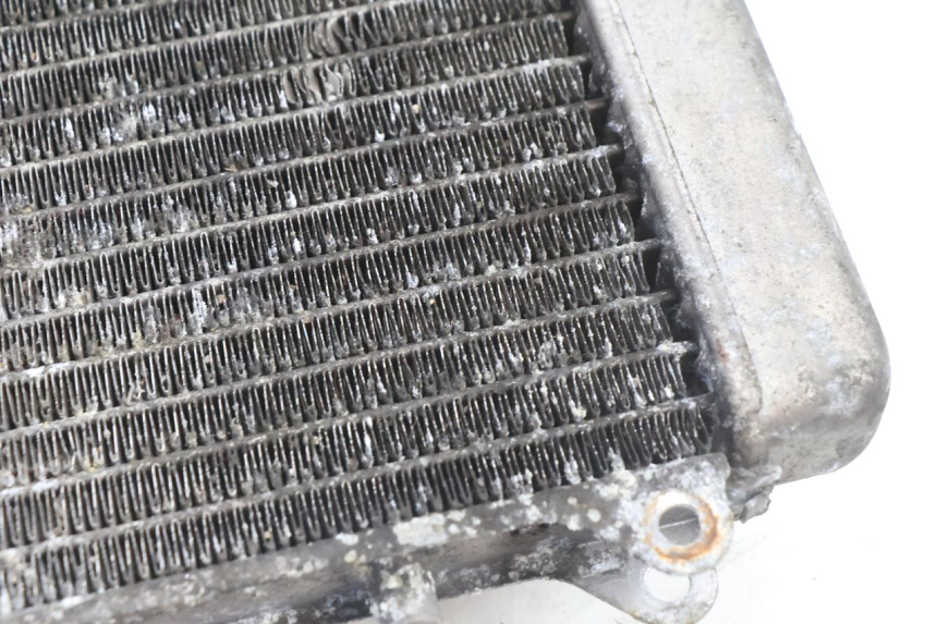 photo de COOLANT RADIATOR PIAGGIO X9 AMALFI 180 (2000 - 2003) - Surface and material condition