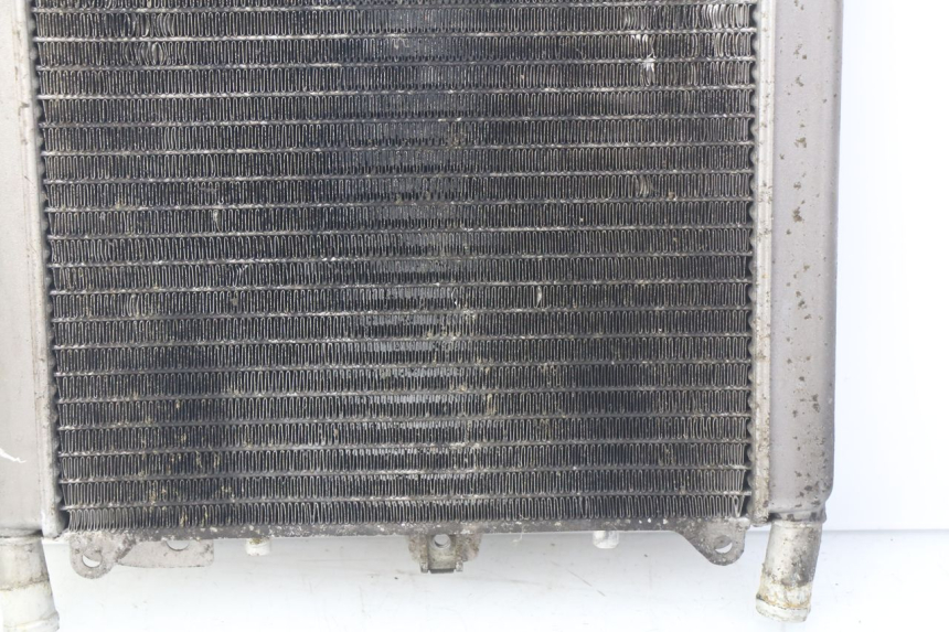photo de RADIATOR PIAGGIO X9 EVOLUTION 500 (2003 - 2005) - Product overview