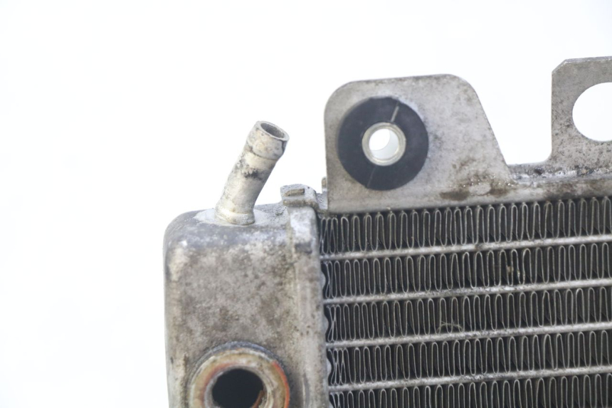 photo de RADIATOR PIAGGIO X9 EVOLUTION 250 (2003 - 2007) - Component detail