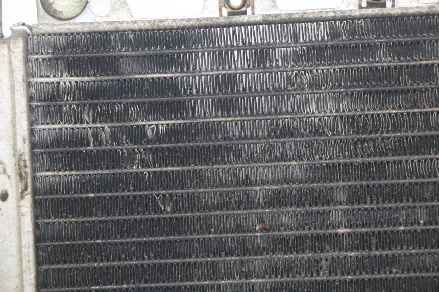 photo de RADIATOR PIAGGIO X9 EVOLUTION 250 (2003 - 2007) - Distinctive features