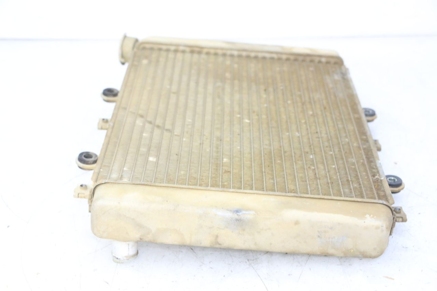 photo de COOLANT RADIATOR YAMAHA YFM GRIZZLY 550 (2008 - 2015) - Technical close-up