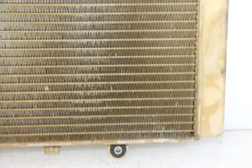 photo de COOLANT RADIATOR YAMAHA YFM GRIZZLY 550 (2008 - 2015) - Surface and material condition